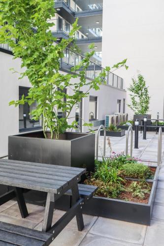Central one bedroom apartment - main image
