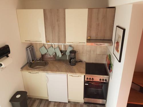 virtuve, Villa Eli, Belosavci home with the View in Topola