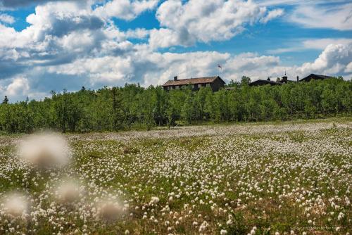 Venabu Fjellhotell - Hotel - Venabygd