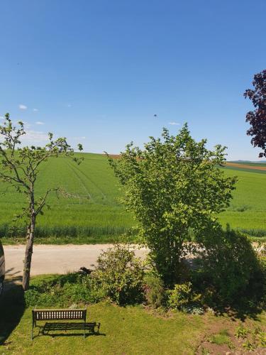 Uitzicht, Ferienwohnung im Schwarzwaldhaus in Hufingen