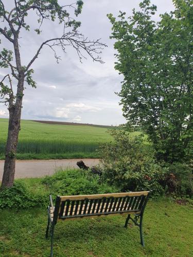 Uitzicht, Ferienwohnung im Schwarzwaldhaus in Hufingen