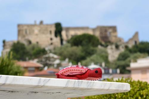 La Tortuga – Agropoli, UT