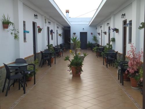  Hostal El Canario in Conil de la Frontera