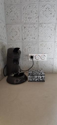 Le Renne Blanc Pyrénées de France Le Renne Blanc Pyrénées de France