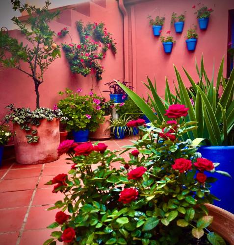 Hotel Conde de Cárdenas - image 6