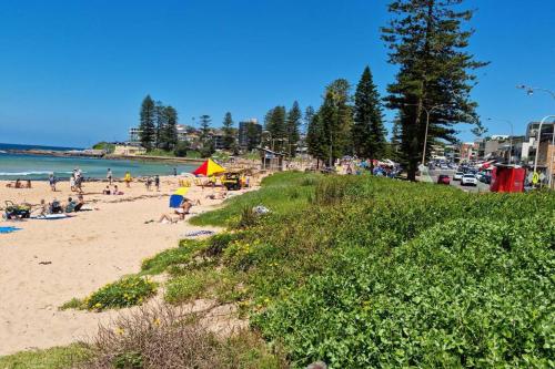 Maverick's Retreat Cromer Sydney's Northern Beaches