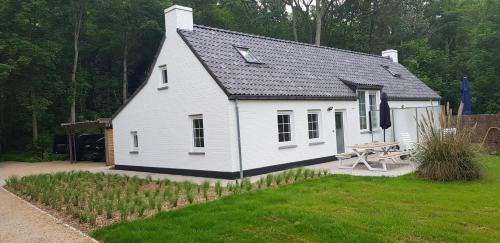 Houtsaegertje