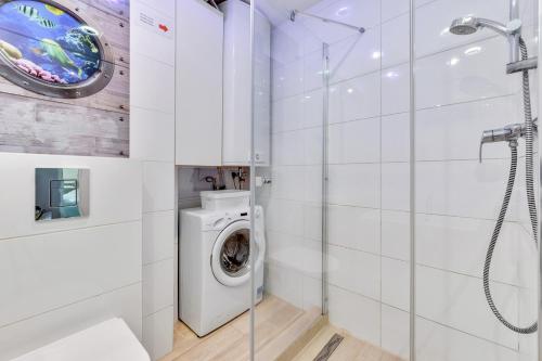 One-Bedroom Apartment image 9