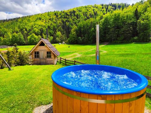Domek Trzy Doliny Zakopane - Three Valleys Chalet Grill&Jacuzzi, Zakopane (fotografie 4)
