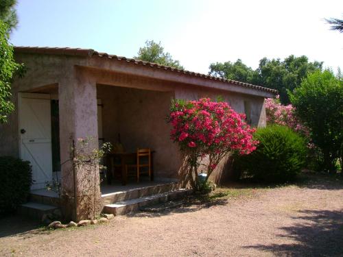 Le Pin Parasol - Location saisonnière - Porto-Vecchio