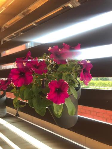 Apartments Terrassa - image 11