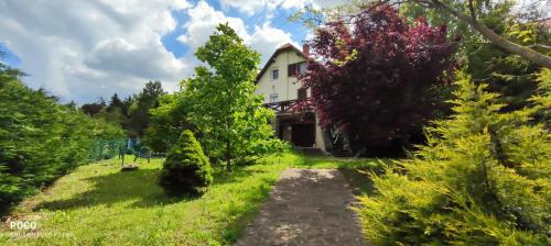  Vulcan Wine Resort Zenit Vendégház, Pension in Celldömölk bei Kamond