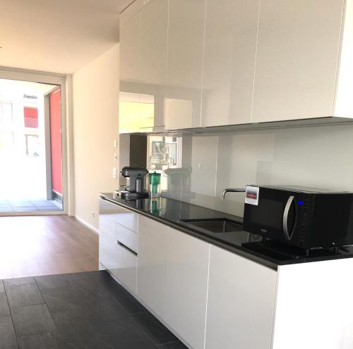 Ferienwohnung Schaffhausen 1989 - Neubau, Free Parking in Schaffhausen