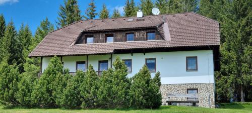 Viesnīcas āriene, Pension Helena Honesová (Pension Helena Honesova) in Horská Kvilda