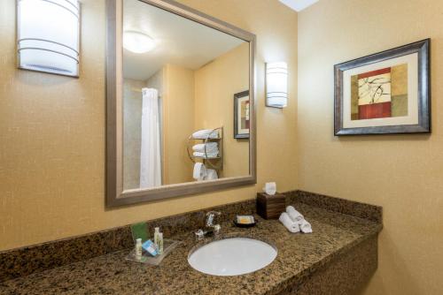 One-Bedroom King Suite with Communications Accessible Roll-In Shower
