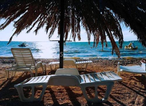 Studio Apartment in Vrsi with Terrace, Air conditioning, Wi-Fi (4824-1)
