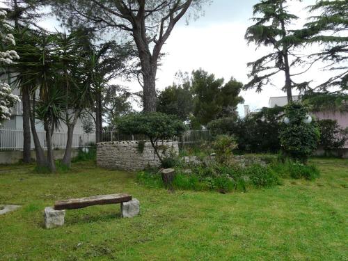 B&B Bisceglie - B&B Villa Garden - Bed and Breakfast Bisceglie