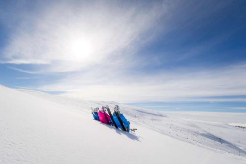 Radisson Blu Mountain Resort & Residences Trysil - image 4