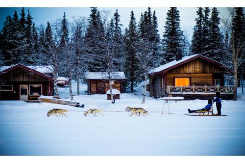 ทางเข้า, Camp Alta Kiruna in คีร์รูนา
