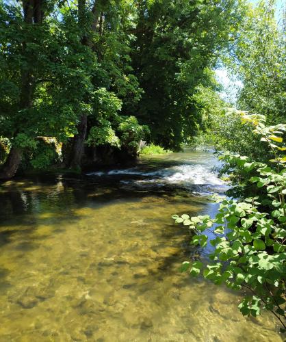 L'orée des 3 Rivières - Chambre d'hôtes - Is-sur-Tille