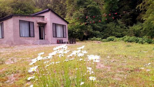 Cozy house in the forest - Accommodation - Borjomi