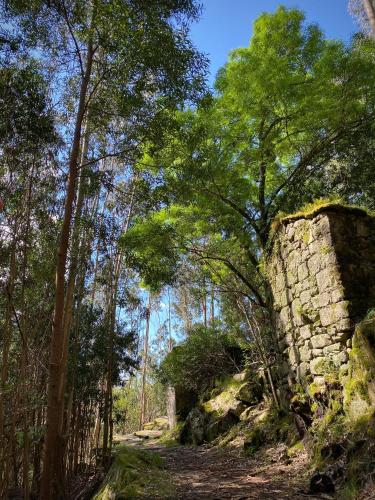 Quinta da Boa Viagem