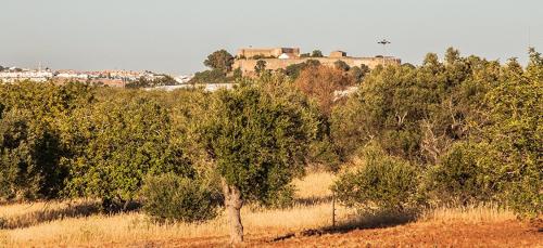 Casa Natura