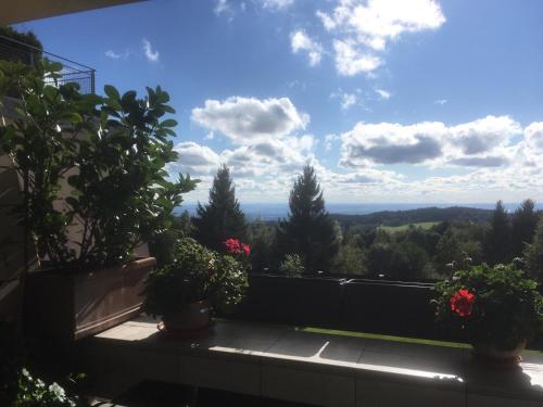 Komfortable Wohnungen und Studio in Sankt Englmar in Sankt Englmar, Deutschland