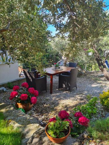 Apartman Dalmatia