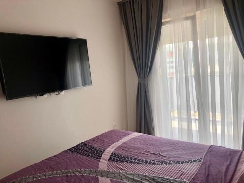 Apartment Topolica