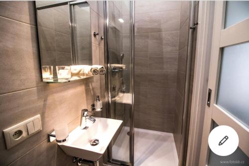 Romantic Apartment Petra - free parking Friday-Sunday, Praha (fotografie 3)