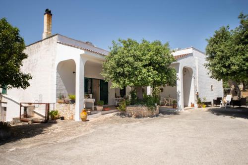 WePuglia La Maison-D B&B - Accommodation - Padresergio