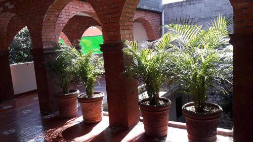 Loft amueblado y equipado + servicios (Room #1)