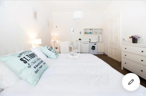 Romantic Apartment Petra - free parking Friday-Sunday, Praha (fotografie 4)