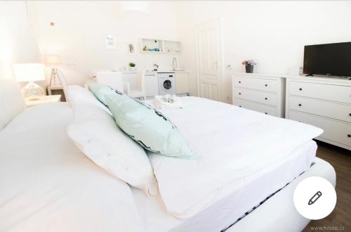 Romantic Apartment Petra - free parking Friday-Sunday, Praha (fotografie 8)