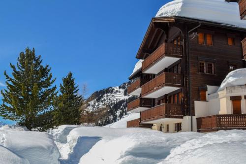 Vieux Valais Malisse - Apartment - Riederalp