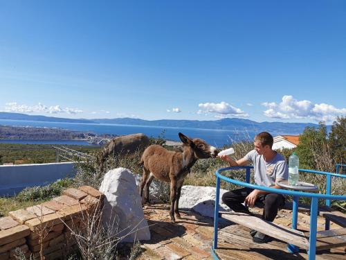  Villa Suzi Donkey farm with seaview in Šmrika