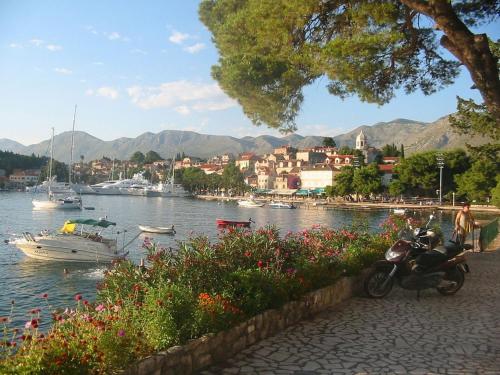 Apartment in Cavtat with sea view, balcony, air conditioning, WiFi 4979-5