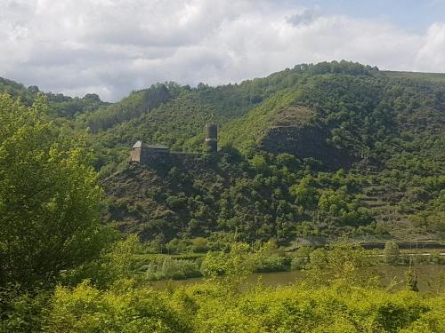 Fewo Himmelblau 4.1km von Münstermaifeld entfernt