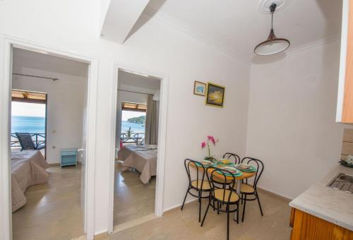 Spiros and Polyxeni Apartments Afionas 4