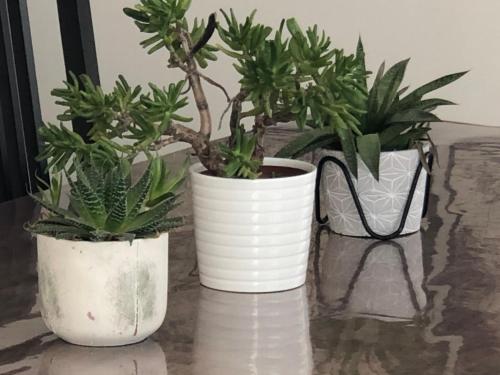 Les Petits Pois Sont Rouges gîte à louer Sion-sur-l'Océan