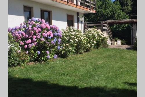 Villa immersa nel verde a Lanzo d'Intelvi