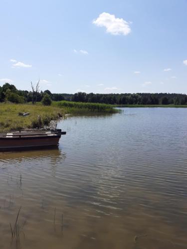 Domek w sadzie na Mazurach - Hotel - Stręgielek