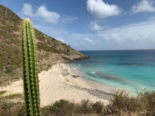 MAGNIFIQUE STUDIO ANSE MARCEL SAINT MARTIN
