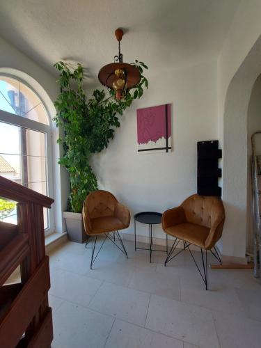 One-Bedroom Apartment image 4