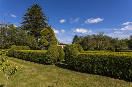 Araucaria House