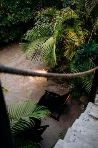 NEST Tulum