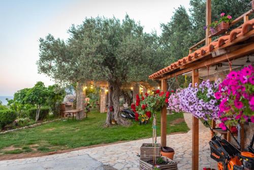Holiday Park Olive Tree - image 2