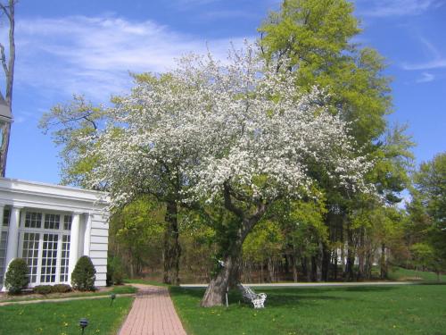 Kert, Four Chimneys Inn in Bennington (Vermont)