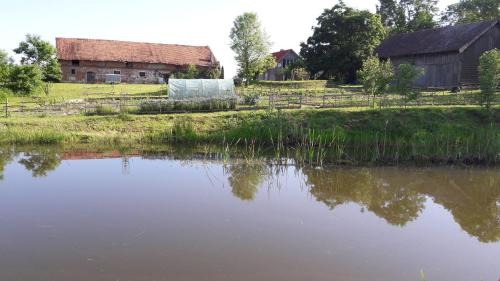 Blanki Siedlisko agroturystyczne Jestem in Suryty